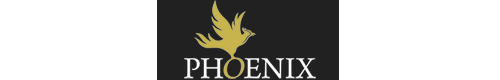 logo for phoenix foundry